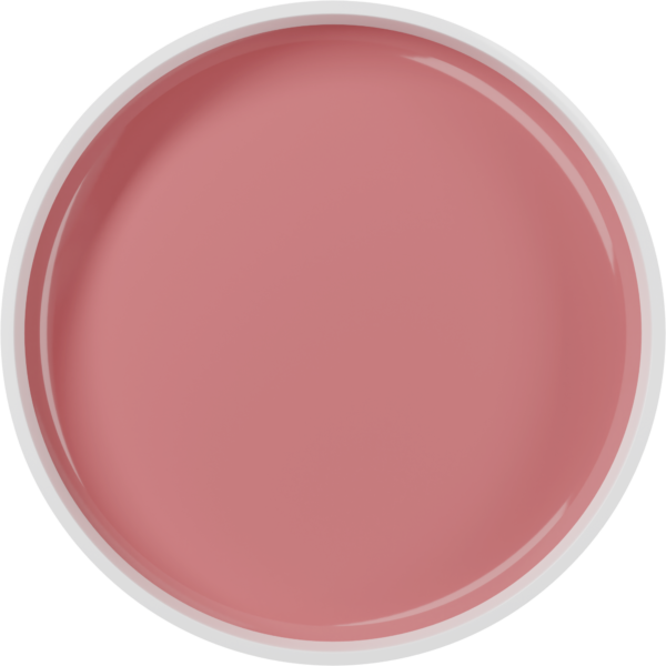 Gel Construtor AnyLovy 24g - Pink Nude mais Nude - Imagem 2
