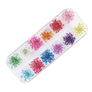 Kit Flor Seca Para Decoração de Unhas - Kaisa