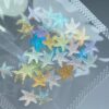 Charms Real Love - Estrelas do Mar - Imagem 2