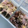 Kit Decoração Para Unhas Rose Gold - Real Love - Imagem 4