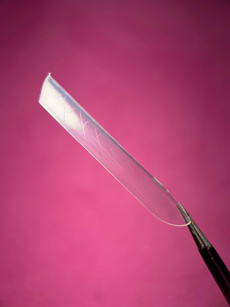 Molde F1 Natural D&Z 150un - Mandorla - Imagem 3