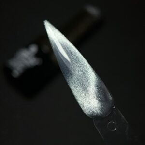 Esmalte Magnético Dafu 10ml - Prata 06