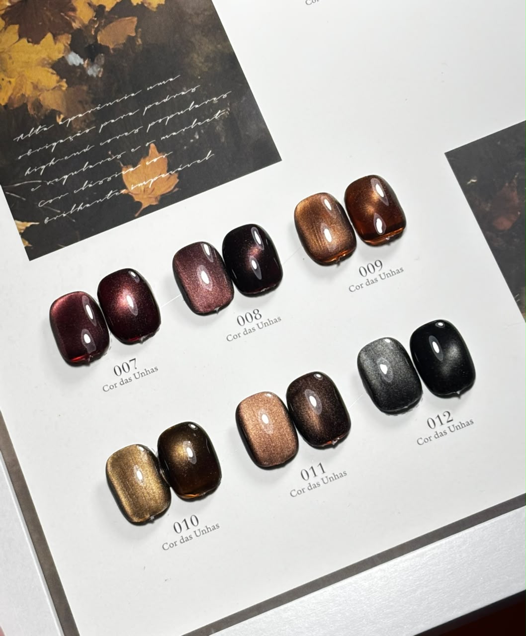 Kit Esmalte em Gel Magnético D&Z - Coleção Outono - Imagem 4
